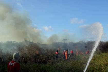 Ação integrada das forças de segurança combate incêndio florestal em São Cristóvão