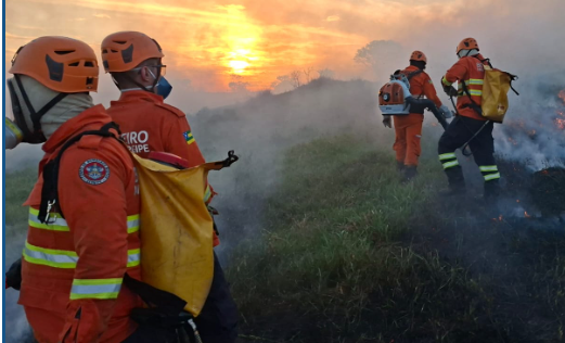 CBMSE atua em ocorrência de incêndio em Cristinápolis, no âmbito da Operação Protetor dos Biomas