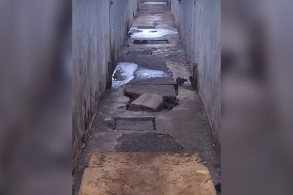Ratos dentro do Copemcan acendem alerta sobre condições sanitárias na unidade prisional